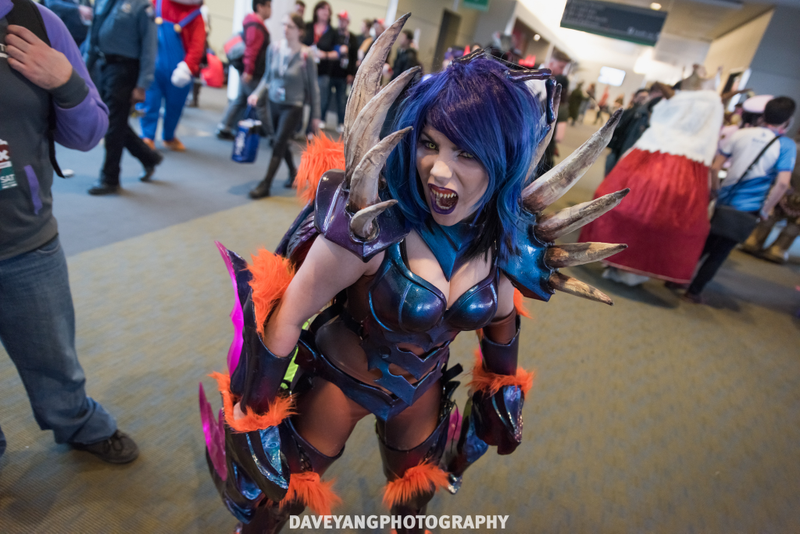 Photo by Dave Yang
